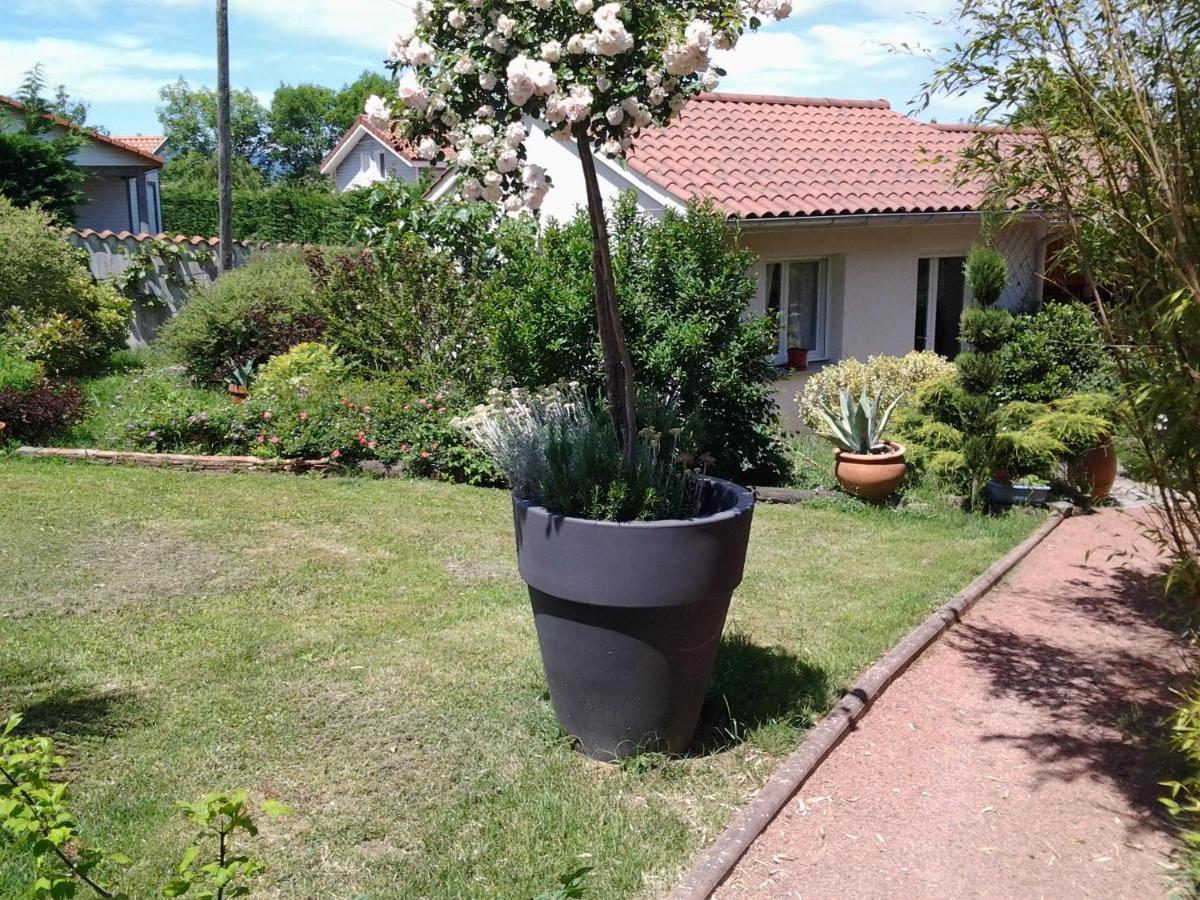 Erable Pourpre Saint-Georges-Haute-Ville Exterior foto